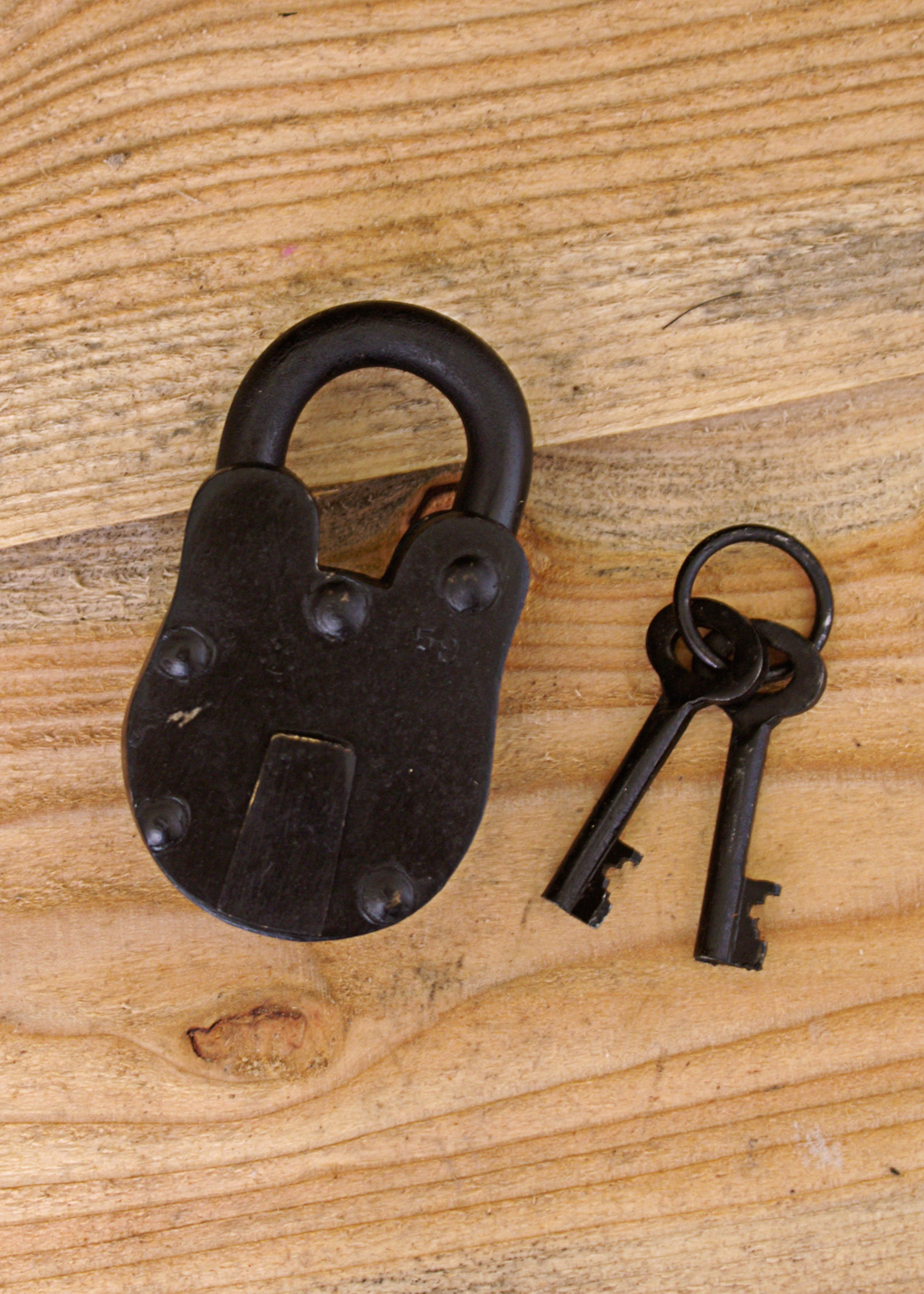 Medium-Sized Steel Padlock with 2 Keys