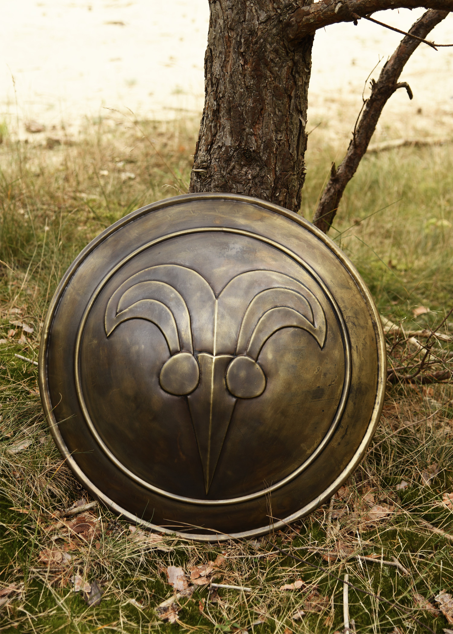 Cimmerian Shield, Windlass